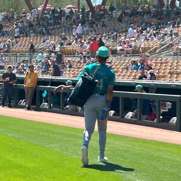 Strike Out Stroke Camelback Ranch