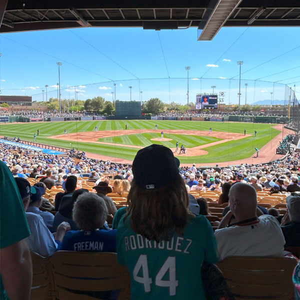 Strike Out Stroke Camelback Ranch