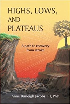 Highs, Lows, and Plateaus: A Path to Recovery from Stroke