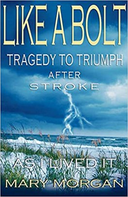 Like A Bolt: Tragedy to Triumph After Stroke as I Lived It
