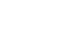 United Stroke Alliance Logo